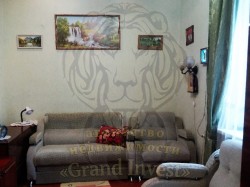 1 комнатная в  Центре с  АО