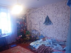 3-х комнатная квартира в кирпичном дом на 200 лет