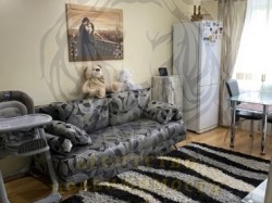 3-х комн. в Центре с ремонтом и АО, 3/5, кирпич