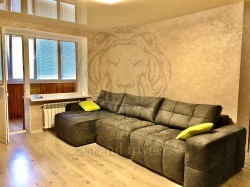 3-х ком. Болгарка Центр кирпич ремонт