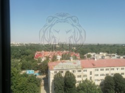 3-х комнатная квартира в новострое