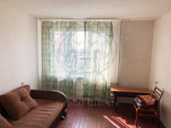 1-ком в Центре